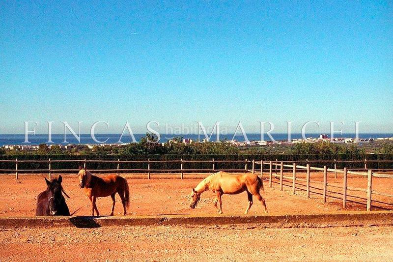 Foto 860a68cf-0888-460d-a25d-d611c46c9a1f. Masía chalet en zona calafell con piscina y vistas al mar en Coma-ruga