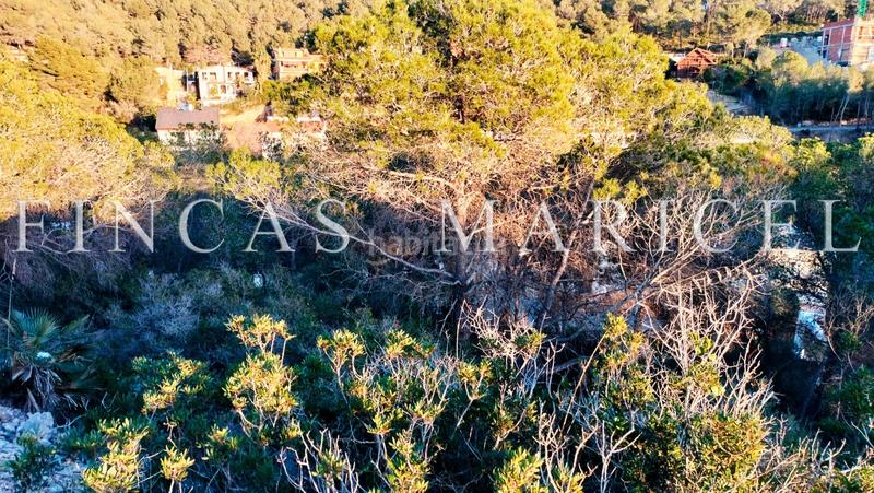 Foto 0f6763fa-a6b2-4e6a-af29-cbb686c6abde. Terreno residenziale in Mas Alba Sant Pere de Ribes