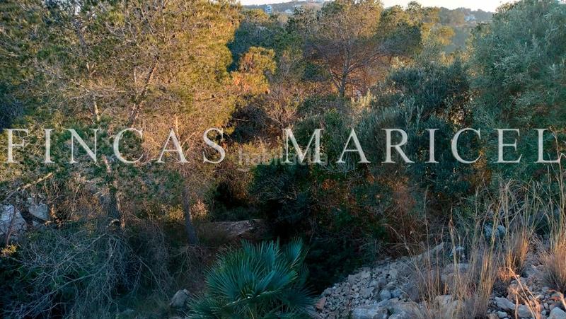 Foto 6f7f8636-a39e-4c31-999a-288eca0e3a86. Terreno residenziale in Mas Alba Sant Pere de Ribes