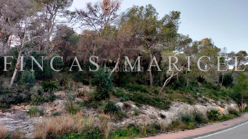 Foto d1e8c077-5a1b-4740-a30a-52a50c0ccc61. Terreno residenziale in Mas Alba Sant Pere de Ribes
