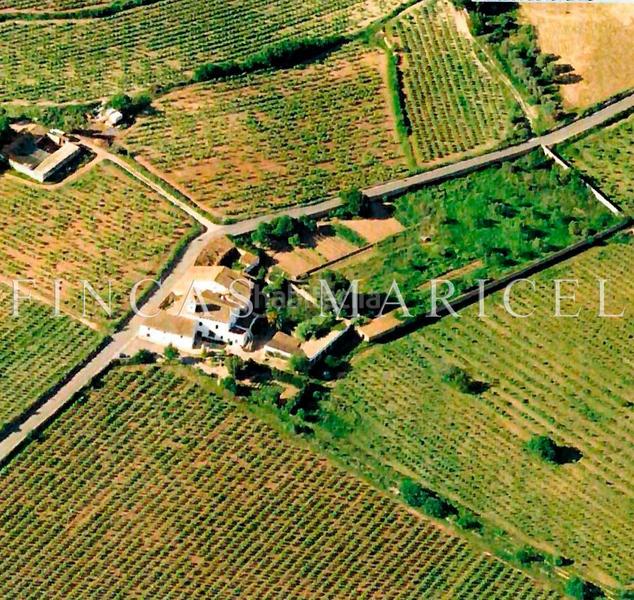 Foto ad00e96e-952a-47d0-8870-66d9247d3eb9. Masia a Masia Nova-Solicrup Vilanova i la Geltrú