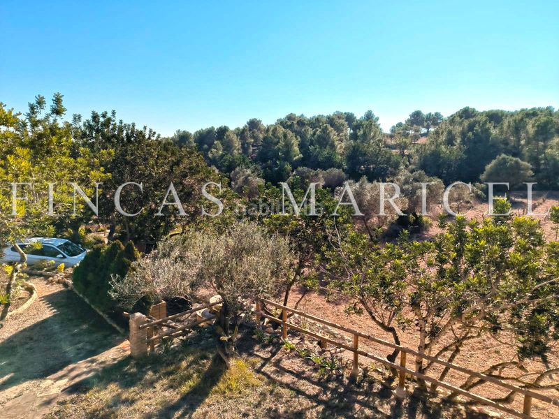 Foto c90a126a-7188-4acf-90cf-c5cd02f2bf1f. Finca rústica a Nou Vendrell Vendrell (El)