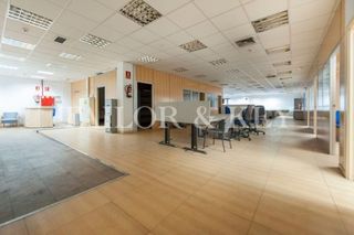 Business premise  Calle jardines