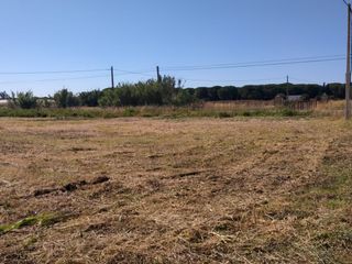 Propriété à Roche. Parcela en venta en conil de la frontera " zona carretera de roc