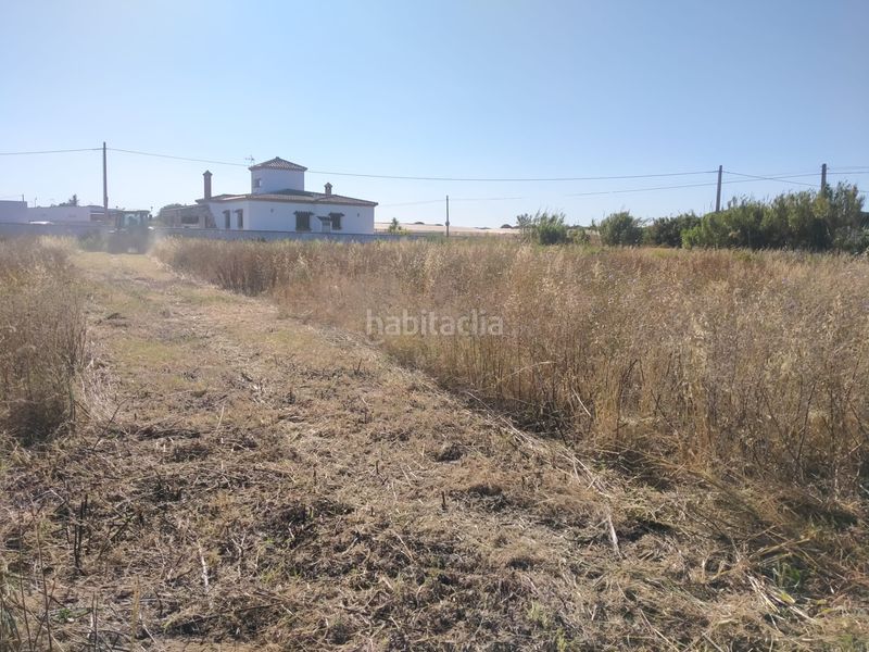 Foto 146e8b98-7165-408a-b7a2-1c51d9ff0fb4. Finca rústica a Roche Conil de la Frontera