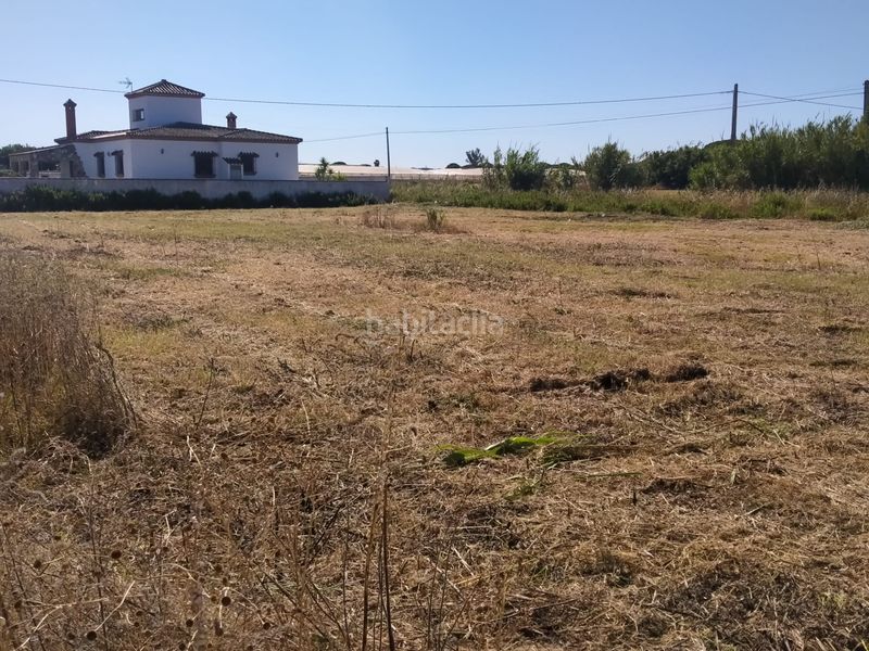 Foto 98fc5501-d63e-45b2-b07d-43d54075790d. Finca rústica a Roche Conil de la Frontera