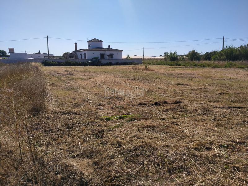 Foto e55d29d5-8ffc-4ca0-a527-4b3006bbcf2e. Finca rústica a Roche Conil de la Frontera