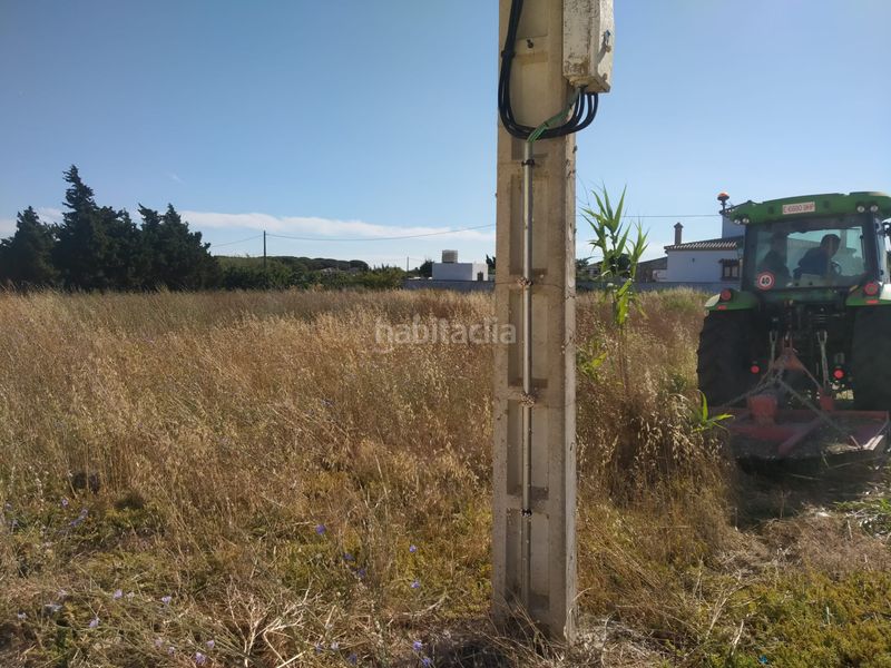 Foto ebd2459a-8f04-4e1c-ac6b-43642fa6bfb9. Finca rústica a Roche Conil de la Frontera