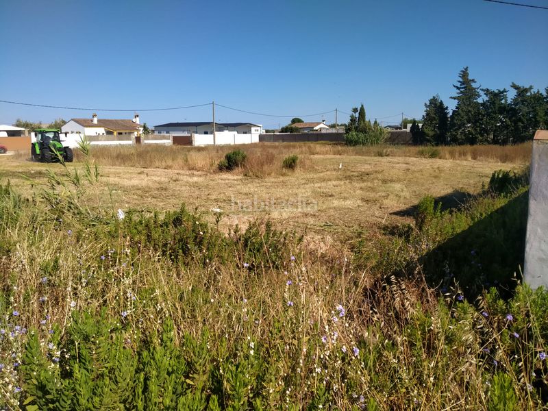 Foto f7814044-ea42-4345-a91d-4109efb31742. Finca rústica a Roche Conil de la Frontera