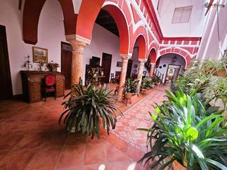 Haus in Écija. Espectacular casa  palacio en el centro de écija