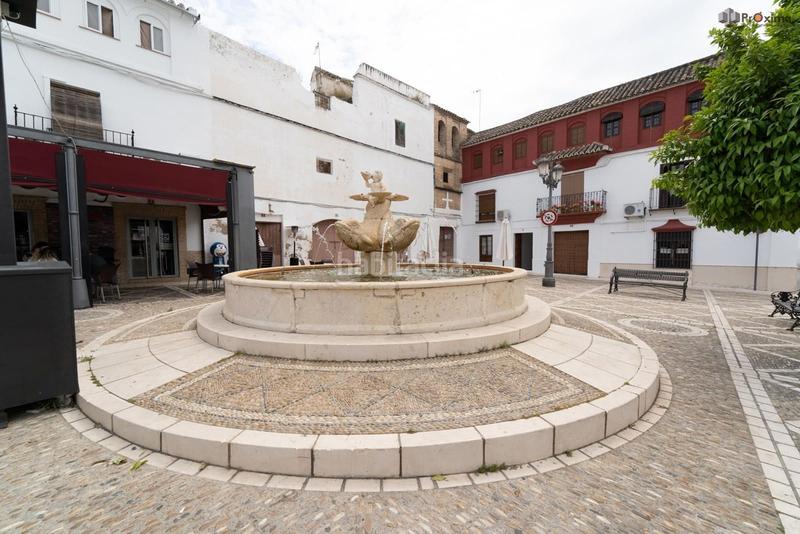 Foto 8caeb934-190d-49e2-bc26-5273cc877f56. Casa a Écija