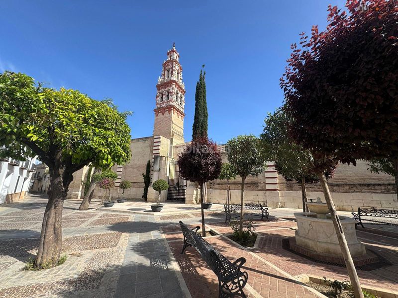 Foto 096a9dc2-9834-45bb-a7be-5b26617f23f6. Casa adossada a Écija