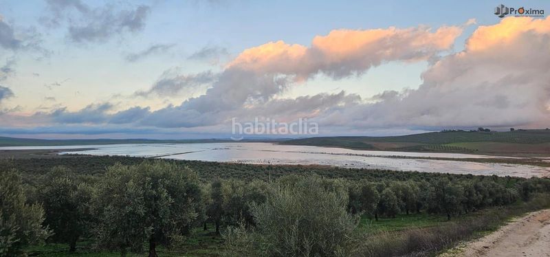 Foto f8a86a2f-1624-4bfd-ba08-b19d8eae079e. Casa parcela rústica con casa y alberca en Écija
