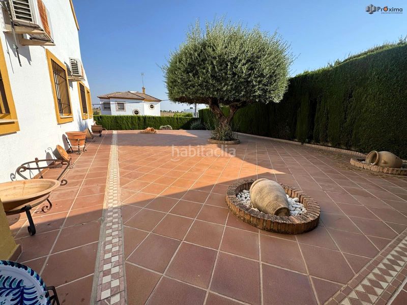 Foto b5b865ca-a432-4d5e-b71b-d24e3ba3d7af. Xalet amb aparcament piscina a Écija