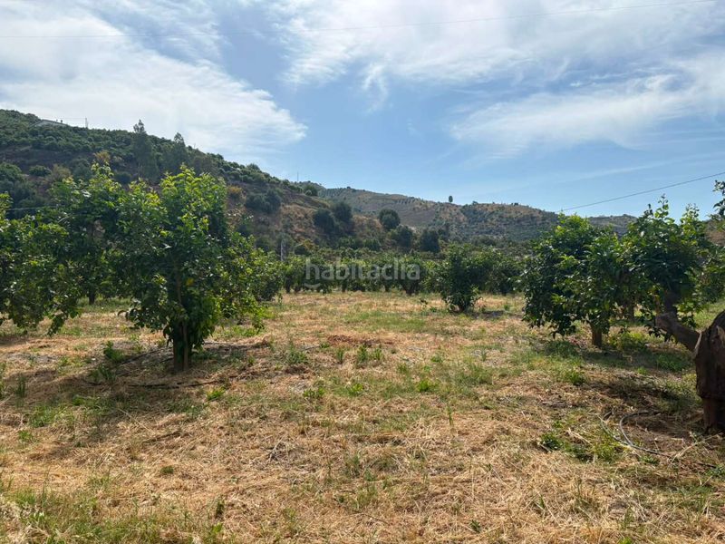 Foto b10ad319-9ce6-42bb-afc8-4bc2e895ff3a. Terreny residencial a Cútar