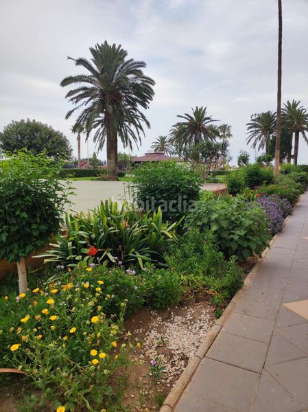Foto 160d6f01-e3c5-4781-ad96-25c5f9e609bd. Alquiler estudio en n/a en Algarrobo Costa