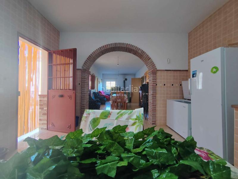 Foto 56d4b835-8372-4265-8c12-c7cefbc92d0a. Masía en Almayate Bajo
