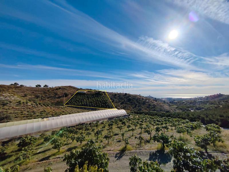 Foto b2f71d04-a316-4c3e-9bd4-dfa4bfbadb3a. Masía en Almayate Bajo