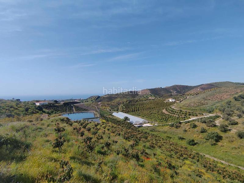 Foto 31b79c92-44a1-432d-8782-c9b669fe543a. Bauernhof mit parking in Camino Viejo de Málaga Vélez - Málaga