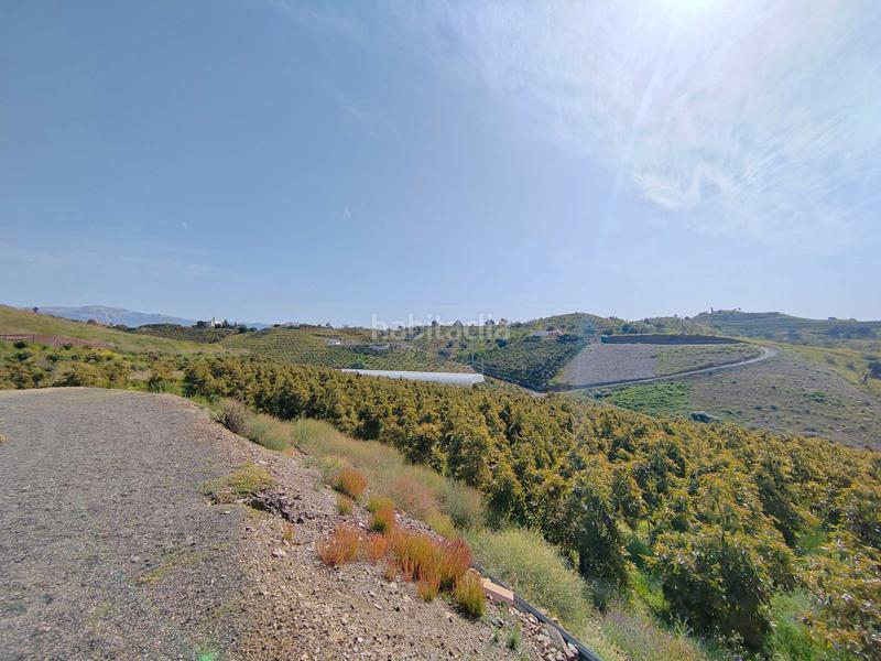 Foto 8080de2e-ac57-4aed-9387-ab8277a25bc4. Bauernhof mit parking in Camino Viejo de Málaga Vélez - Málaga