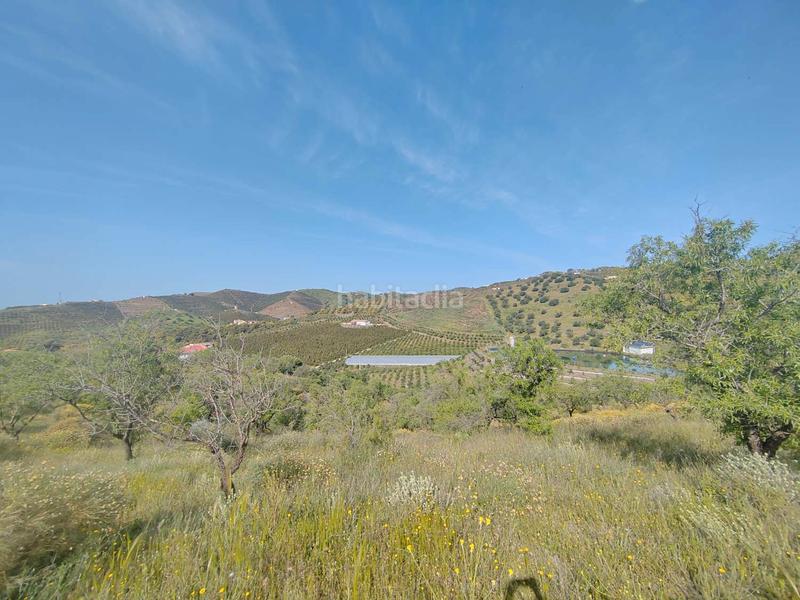 Foto 6915dd8a-ac4e-41cf-ba74-7ad280daba81. Casale con parcheggio in Camino Viejo de Málaga Vélez - Málaga