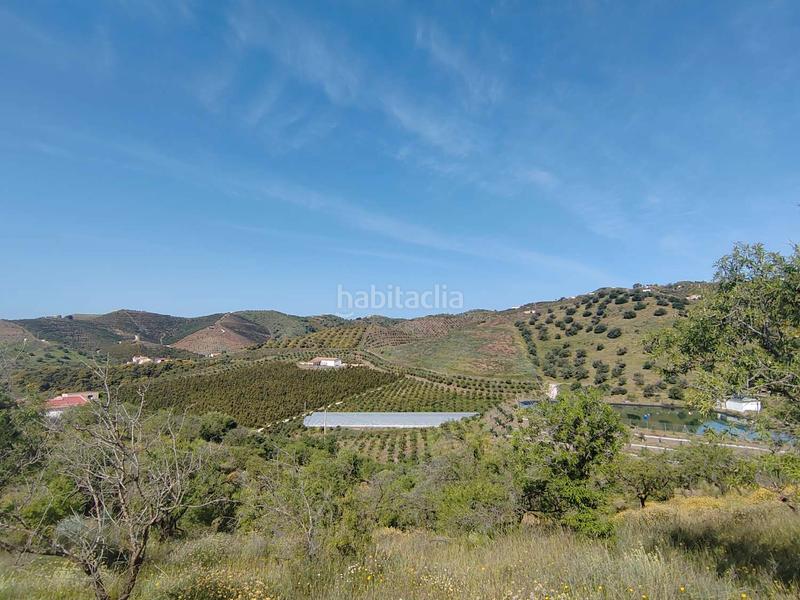 Foto 8a4991ed-0792-4129-b323-506524413533. Country house with parking in Camino Viejo de Málaga Vélez - Málaga