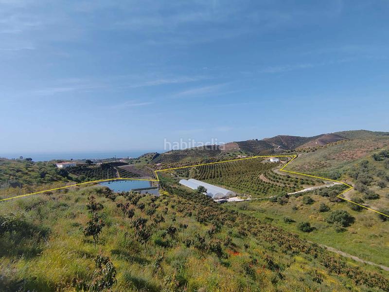 Foto f2a880e3-b94c-4c0f-a6a2-9085c5d08488. Country house with parking in Camino Viejo de Málaga Vélez - Málaga