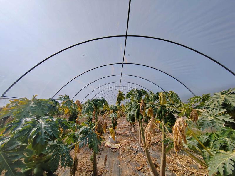 Foto 8ec6924f-6a8e-46a5-9f84-42d92d429e56. Mas avec parking dans Camino Viejo de Málaga Vélez - Málaga