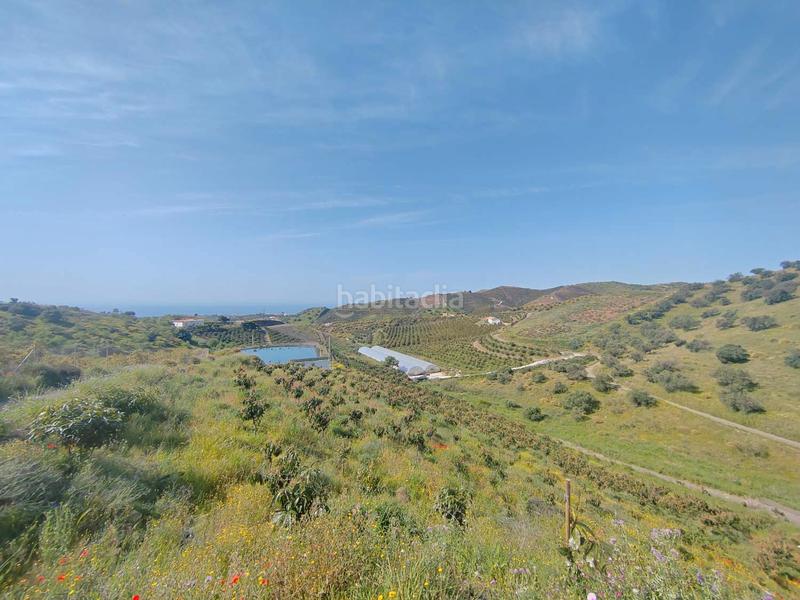 Foto 509218f1-703d-4ed7-a517-f1a5bbdf7f05. Masía en Camino Viejo de Málaga Vélez - Málaga