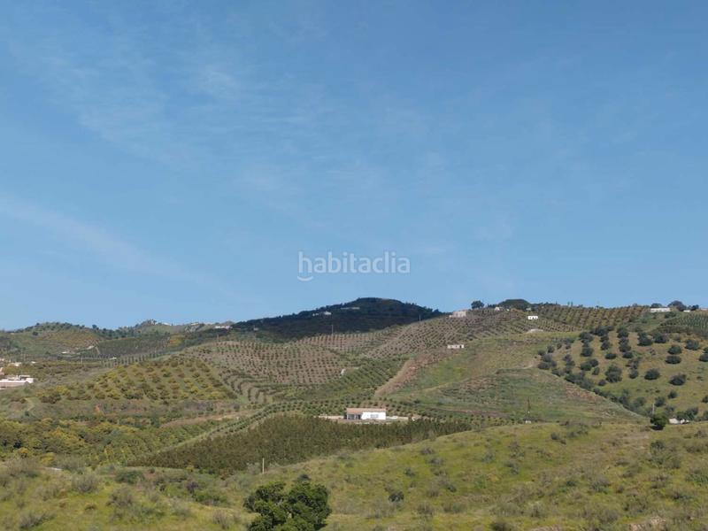 Foto 56b70247-9621-40b7-9379-c63d559d1dca. Masía en Camino Viejo de Málaga Vélez - Málaga