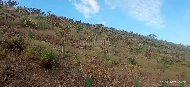 Foto 36570d18-5163-4d99-8b9f-6d6dba8614a4. Terreno residencial en Benamocarra