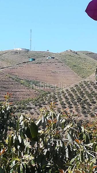 Foto 594aa50d-9423-40f5-8231-63f87c9cd56b. Terreno residencial en Benamocarra