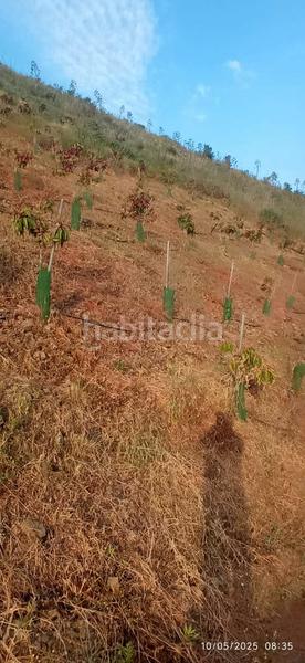 Foto cada3b4c-af5e-42a5-aa7d-77cd7e1c8cd3. Terreno residencial en Benamocarra