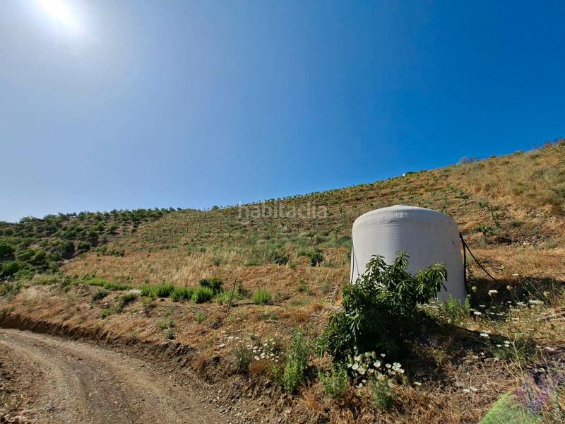 Foto d79b8210-9fc4-49bb-8d0b-595e1d19dc67. Terreno residencial en Benamocarra