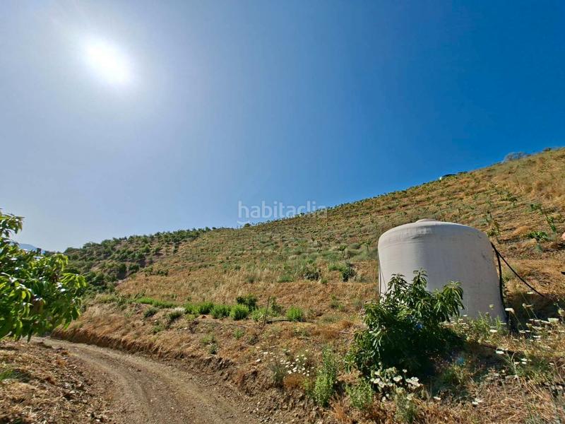 Foto 778d0bb7-6b8b-4b19-8ec9-d928c5d0dba0. Terrain résidentiel dans Benamocarra