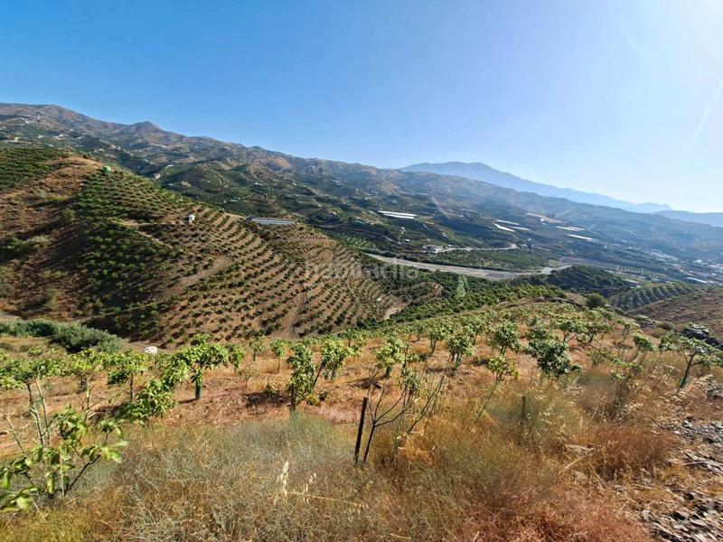 Foto 9b3ad4e4-eaf8-465c-9164-e5247d5a12f0. Terrain résidentiel dans Benamocarra