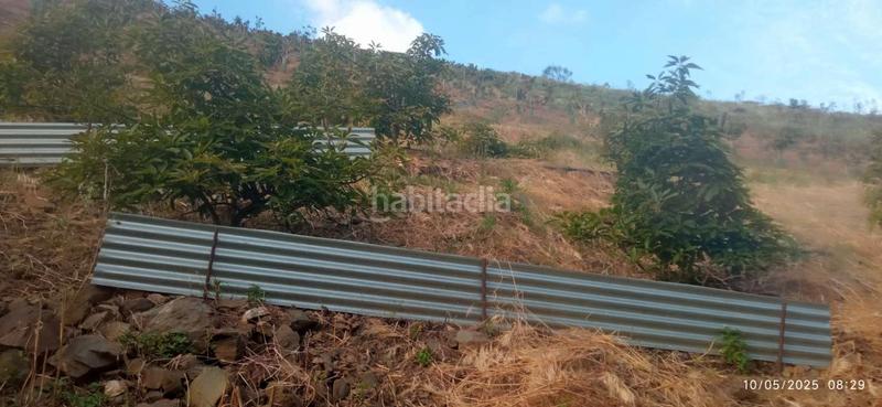 Foto ca0dd329-2380-49ba-9fa7-ed2d4e2c8c91. Terrain résidentiel dans Benamocarra