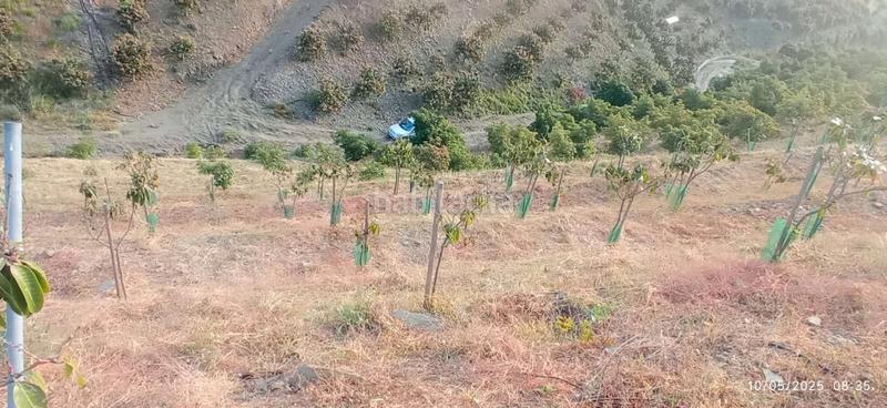 Foto d502f4ec-00cf-4f60-9649-b9a1e162c03c. Terrain résidentiel dans Benamocarra