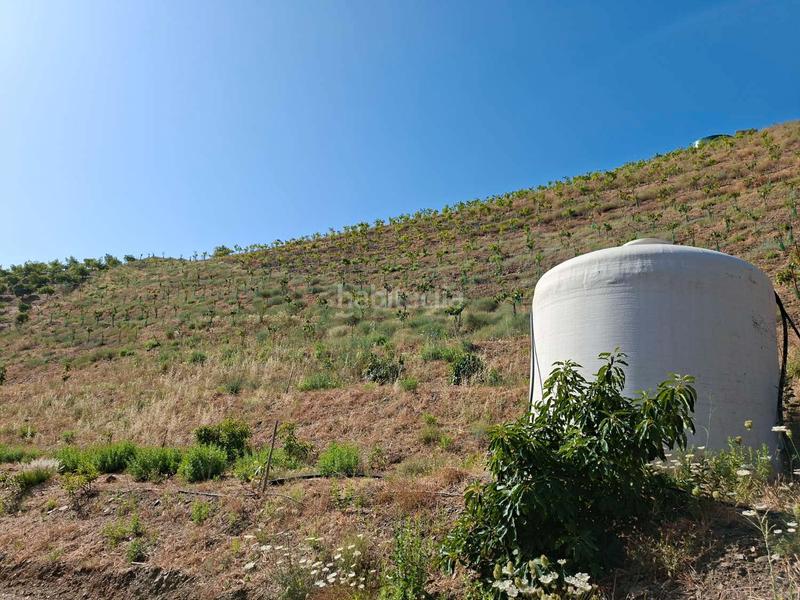 Foto 39e177fe-33f0-46fa-851a-463792f640f2. Terreno residenziale in Benamocarra