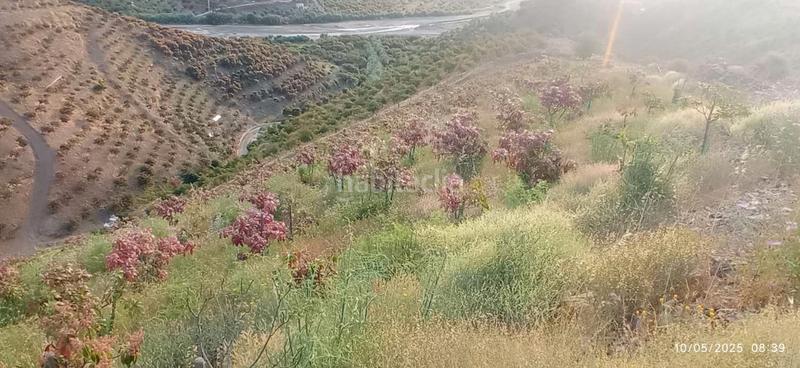 Foto 4a334495-47d8-4881-94f2-366f38813340. Terreno residenziale in Benamocarra