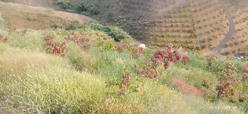 Foto a4a9f1a0-f3e6-46af-a740-e0e9c575d2e5. Terreno residenziale in Benamocarra