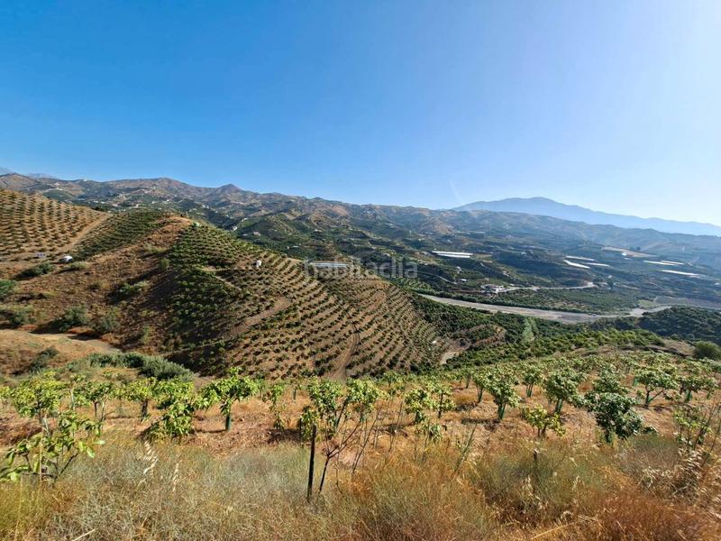 Foto b0810917-db60-42e8-b784-5372a48150bc. Terreno residenziale in Benamocarra