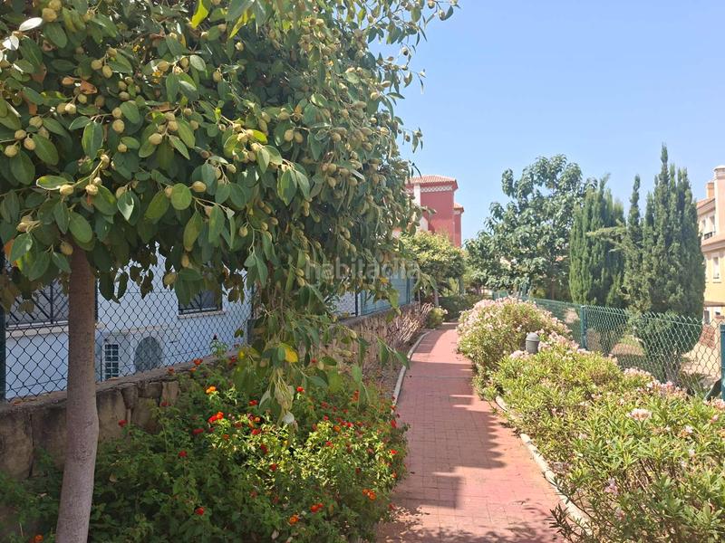 Foto edfa9a43-576a-4fb7-9e95-2fd09d66ac2d. Piso en Caleta de Velez