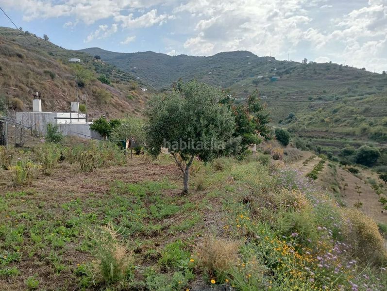 Foto 66ca36bf-52aa-43d9-8154-d19d1df1b9da. Masía en Camino Viejo de Málaga Vélez - Málaga