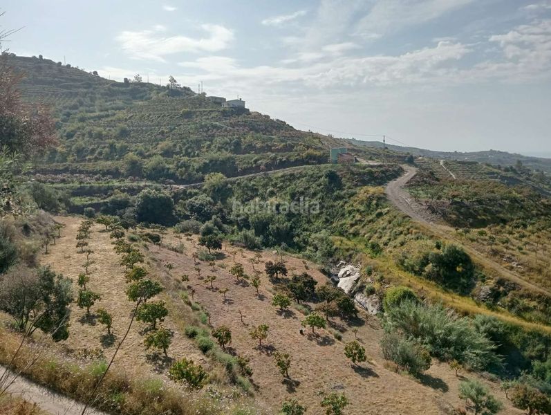 Foto 6778db48-50a6-427a-8814-ffadf62edb71. Masía en Camino Viejo de Málaga Vélez - Málaga