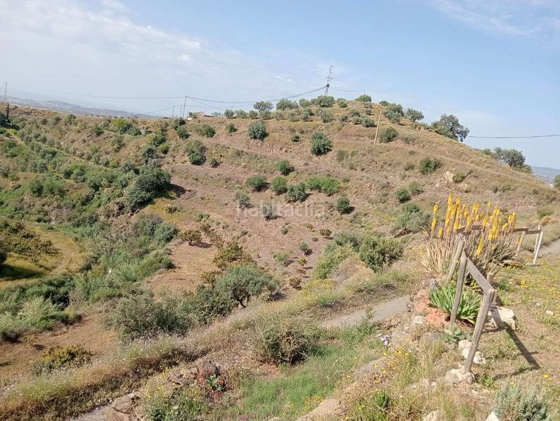 Foto d404312d-d037-4bda-8c81-525ab9d873a1. Masía en Camino Viejo de Málaga Vélez - Málaga