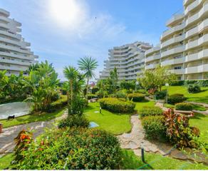 Piso en Parque de la Paloma. Cozy apartment on the beachfront in the benal beach complex, ben