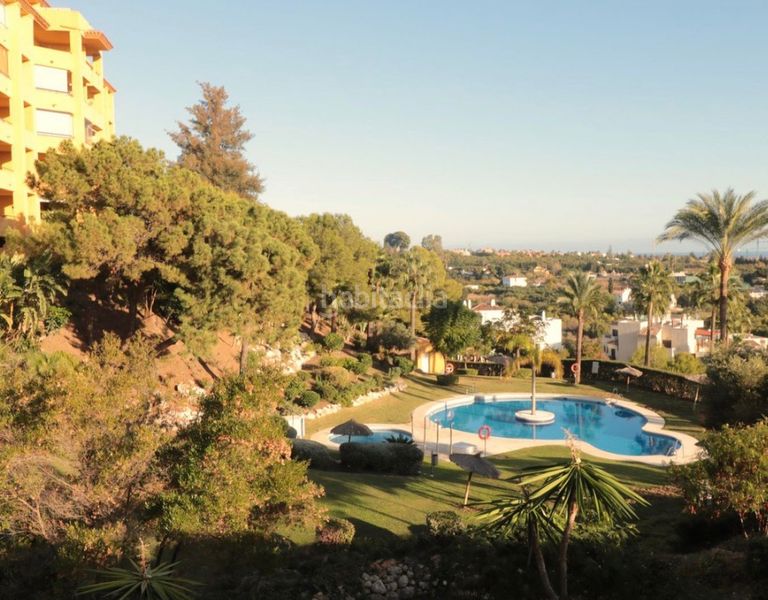 Foto 06820b60-e717-4848-8f82-ff3606f6f4b6. Pis amb xemeneia aparcament piscina a El Velerín Estepona