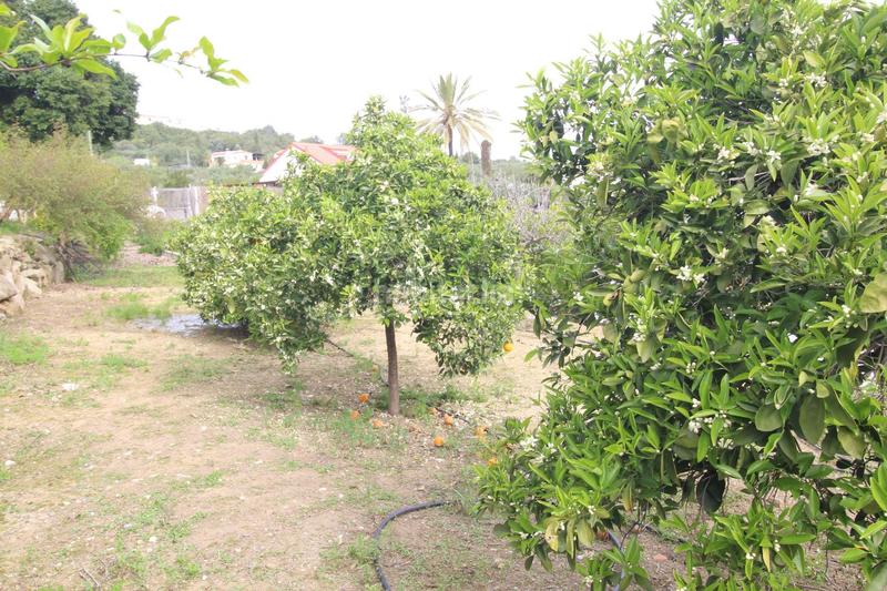 Foto 4c45ba48-95bd-40f6-a8a9-26d4c632553a. Masía bellisima finca con cortijo en alora. malaga en Álora