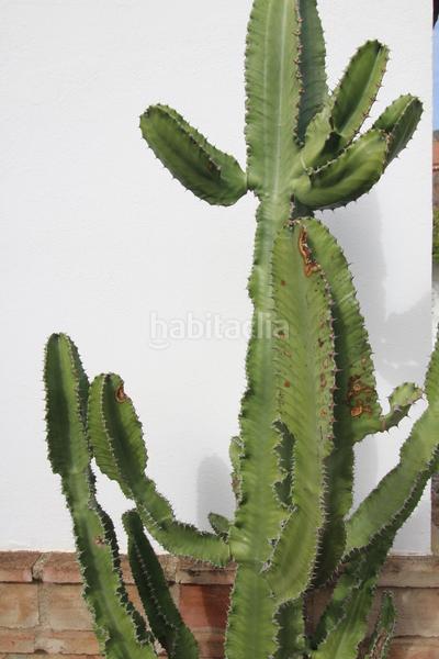 Foto ff4b0f17-1d70-45b7-9c5d-5396aacc93a8. Masía bellisima finca con cortijo en alora. malaga en Álora